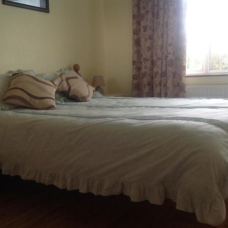 The Rock Equestrian Farm B&B Bailieborough Exteriör bild