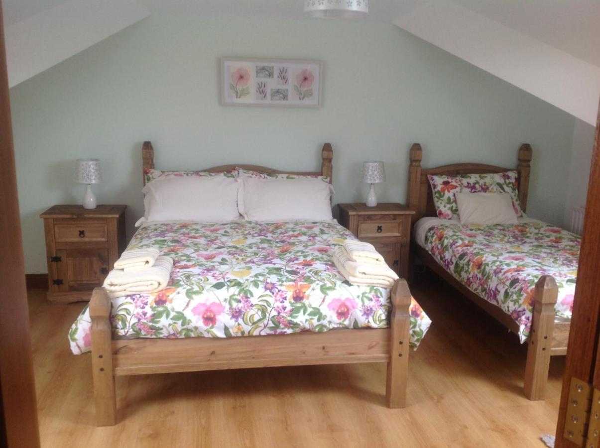 The Rock Equestrian Farm B&B Bailieborough Exteriör bild