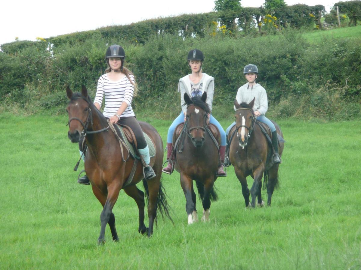 The Rock Equestrian Farm B&B Bailieborough Exteriör bild