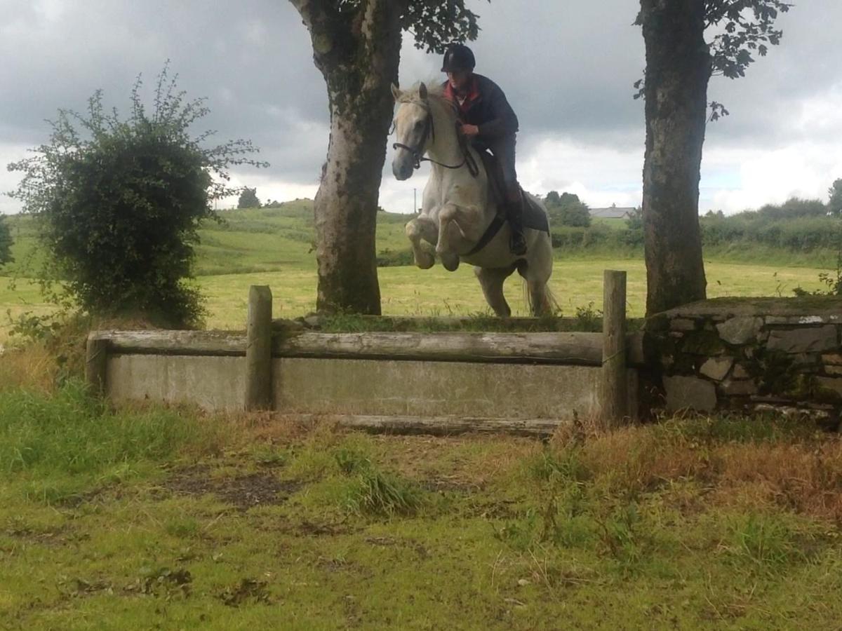 The Rock Equestrian Farm B&B Bailieborough Exteriör bild