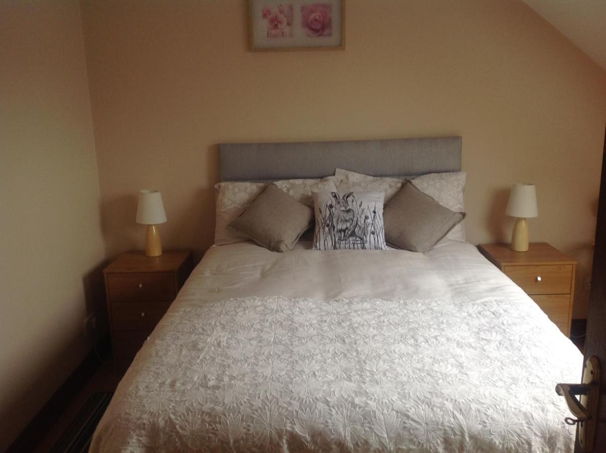 The Rock Equestrian Farm B&B Bailieborough Exteriör bild